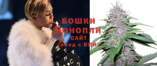 сатива Арсеньев