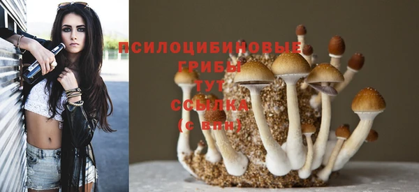 прущая мука Армянск