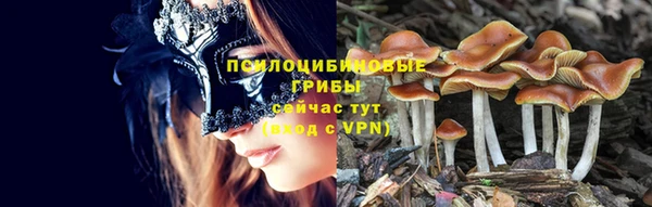 молекула духа Аркадак