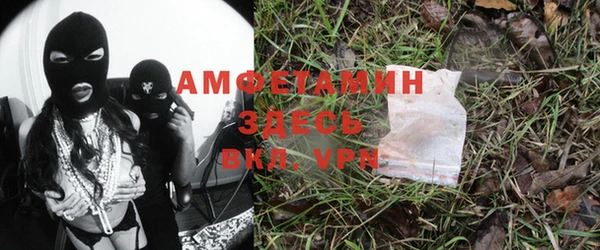 молекула духа Аркадак
