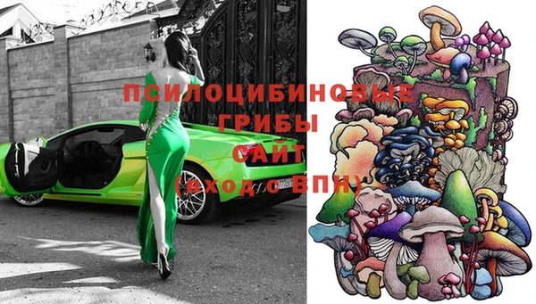 молекула духа Аркадак