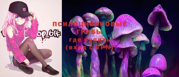 прущая мука Армянск