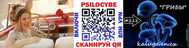 Псилоцибиновые грибы мухоморы  купить закладку  Белинский 